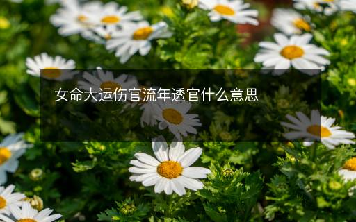 女命大運(yùn)傷官流年透官什么意思