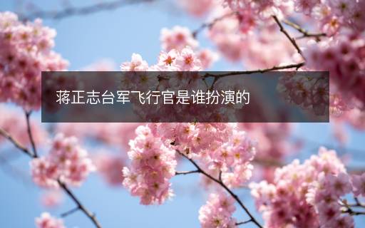 蔣正志臺軍飛行官是誰扮演的