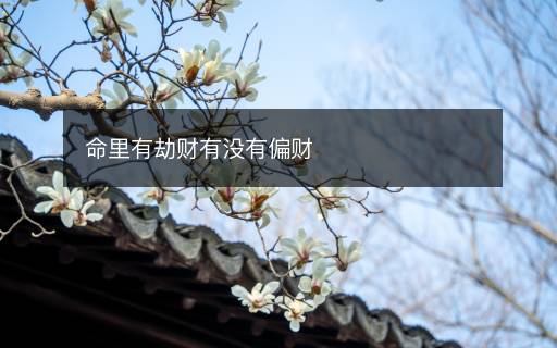命里有劫財有沒有偏財