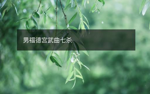 男福德宮武曲七殺