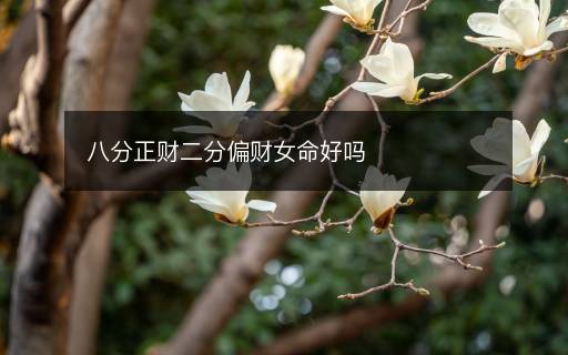 八分正財二分偏財女命好嗎