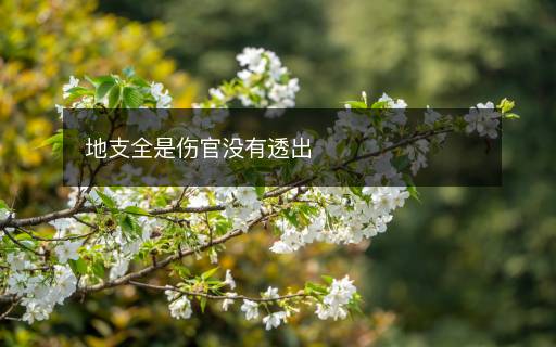 地支全是傷官沒有透出