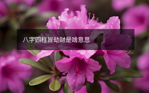 八字四柱皆劫財是啥意思