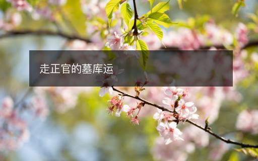 走正官的墓庫運(yùn)
