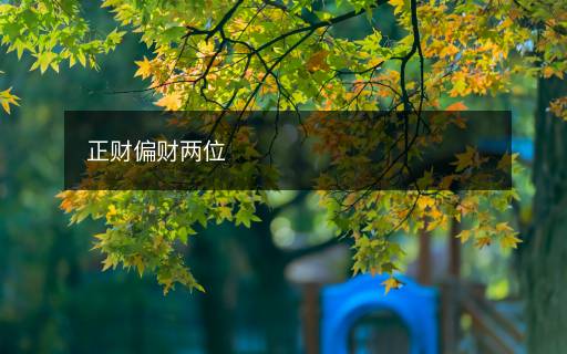 正財偏財兩位