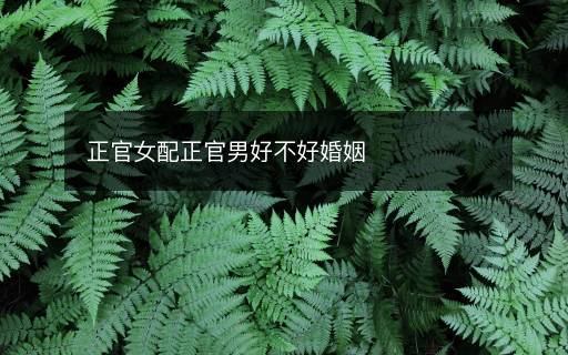 正官女配正官男好不好婚姻