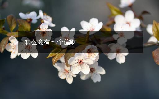 怎么會(huì)有七個(gè)偏財(cái)