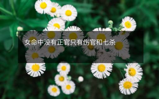 女命中沒(méi)有正官只有傷官和七殺