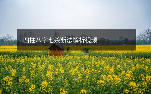四柱八字七殺斷法解析視頻