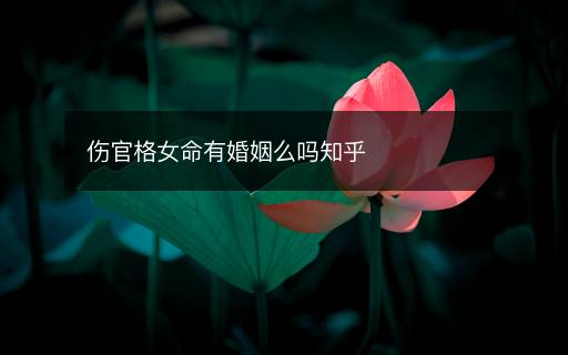 傷官格女命有婚姻么嗎知乎