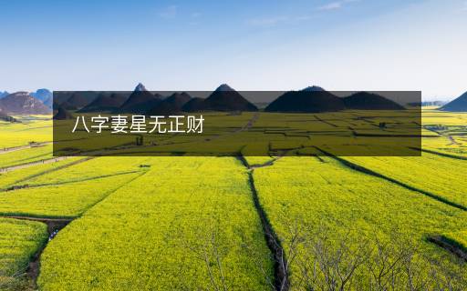 八字妻星無正財