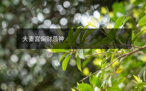 夫妻宮偏財忌神