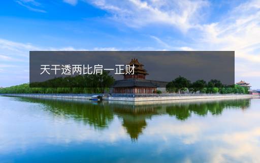 天干透兩比肩一正財(cái)