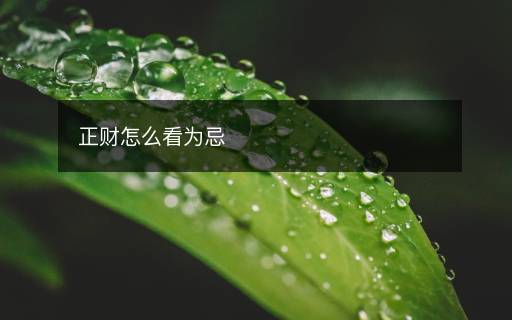 正財(cái)怎么看為忌