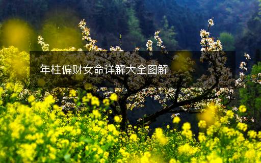 年柱偏財(cái)女命詳解大全圖解