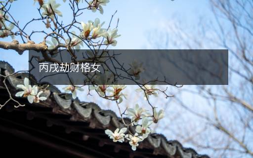 丙戌劫財格女