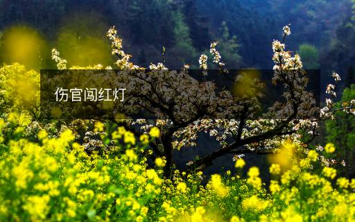 傷官闖紅燈