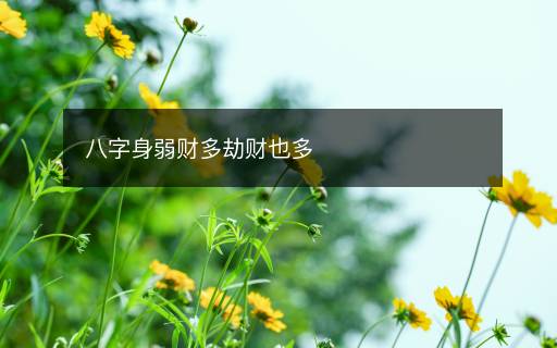 八字身弱財多劫財也多