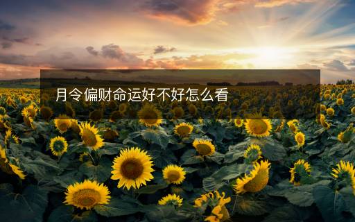 月令偏財(cái)命運(yùn)好不好怎么看