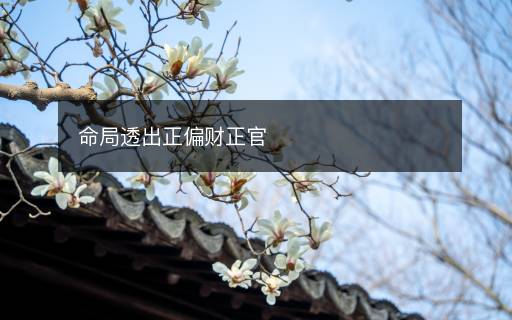 命局透出正偏財正官