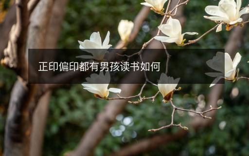 正印偏印都有男孩讀書如何