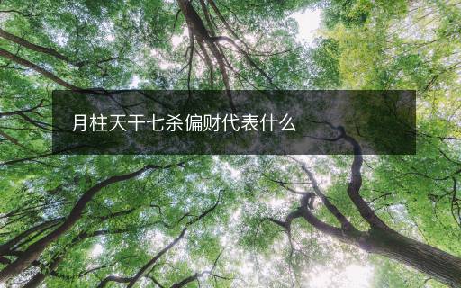 月柱天干七殺偏財代表什么