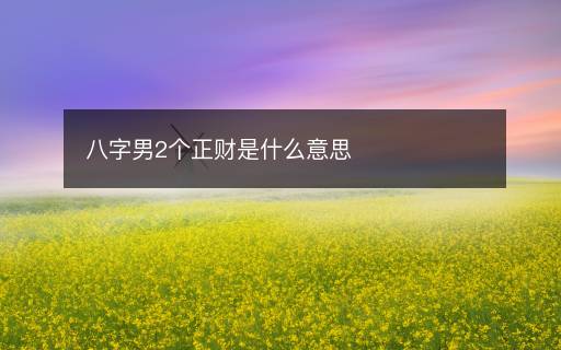 八字男2個(gè)正財(cái)是什么意思
