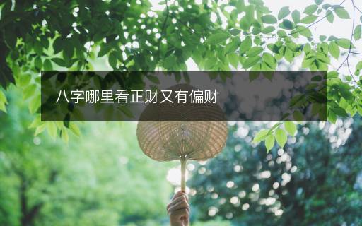 八字哪里看正財又有偏財