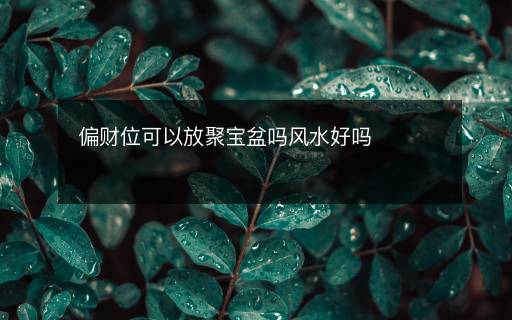 偏財位可以放聚寶盆嗎風水好嗎