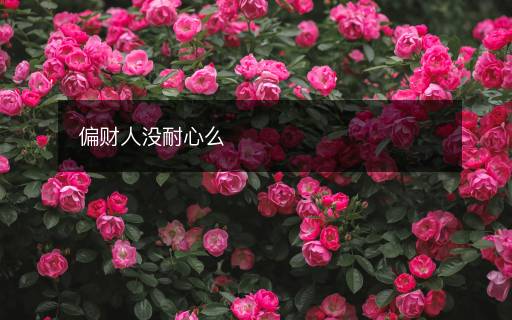 偏財人沒耐心么