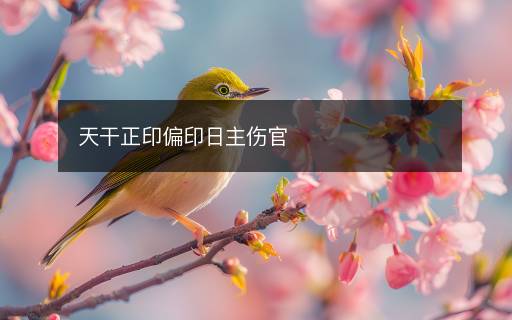 天干正印偏印日主傷官