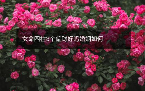 女命四柱3個偏財好嗎婚姻如何