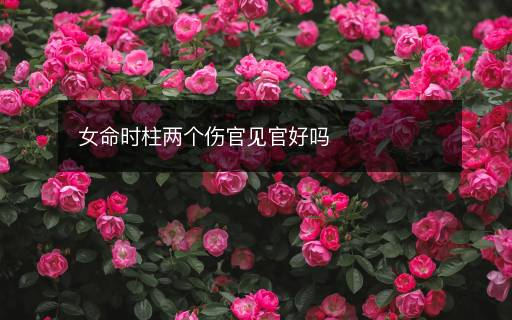 女命時柱兩個傷官見官好嗎