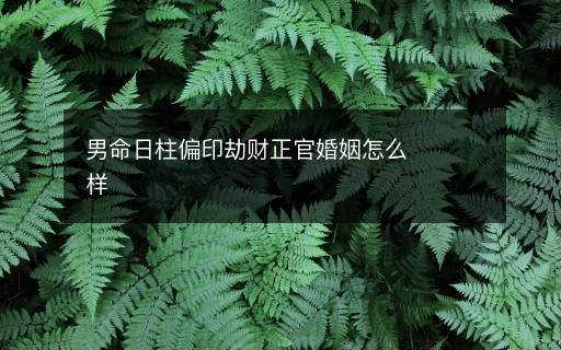 男命日柱偏印劫財正官婚姻怎么樣