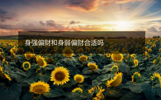 身強(qiáng)偏財(cái)和身弱偏財(cái)合適嗎