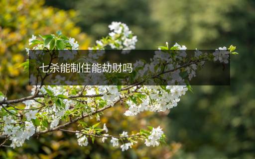 七殺能制住能劫財(cái)嗎