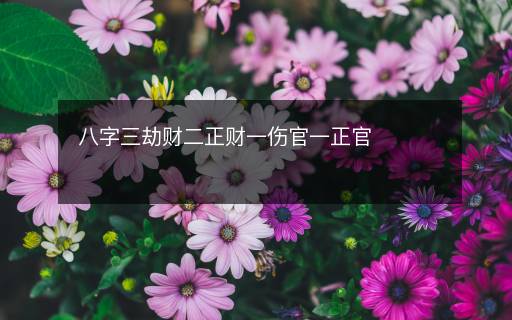 八字三劫財(cái)二正財(cái)一傷官一正官