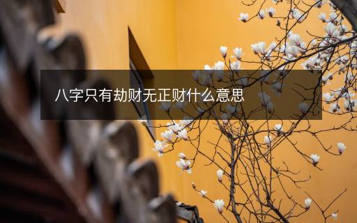 八字只有劫財無正財什么意思
