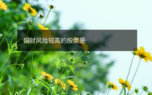 偏財風(fēng)險較高的股票是