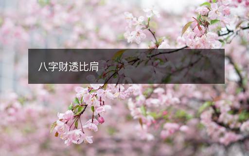 八字財(cái)透比肩