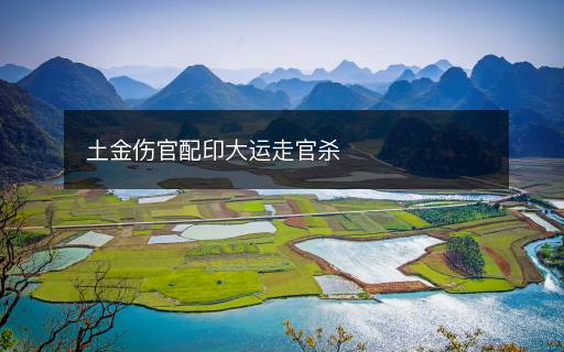 土金傷官配印大運(yùn)走官殺