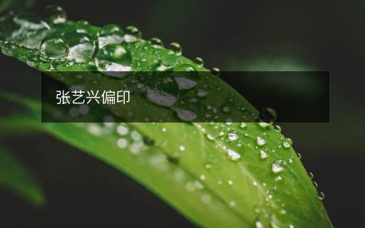 張藝興偏印