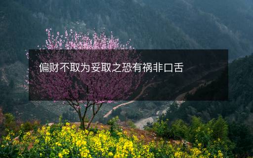 偏財不取為妥取之恐有禍非口舌