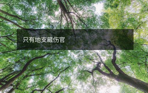 只有地支藏傷官