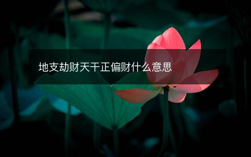 地支劫財天干正偏財什么意思