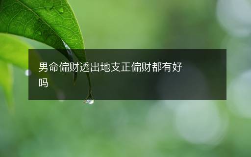 男命偏財(cái)透出地支正偏財(cái)都有好嗎