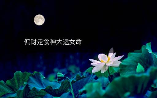 偏財走食神大運女命