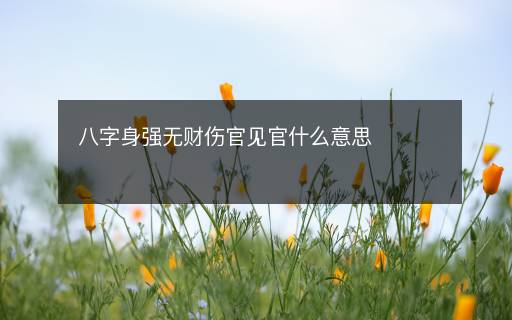 八字身強無財傷官見官什么意思