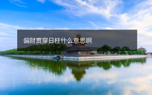 偏財(cái)貫穿日柱什么意思啊