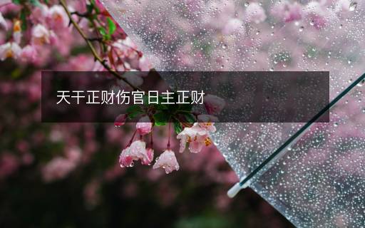 天干正財(cái)傷官日主正財(cái)